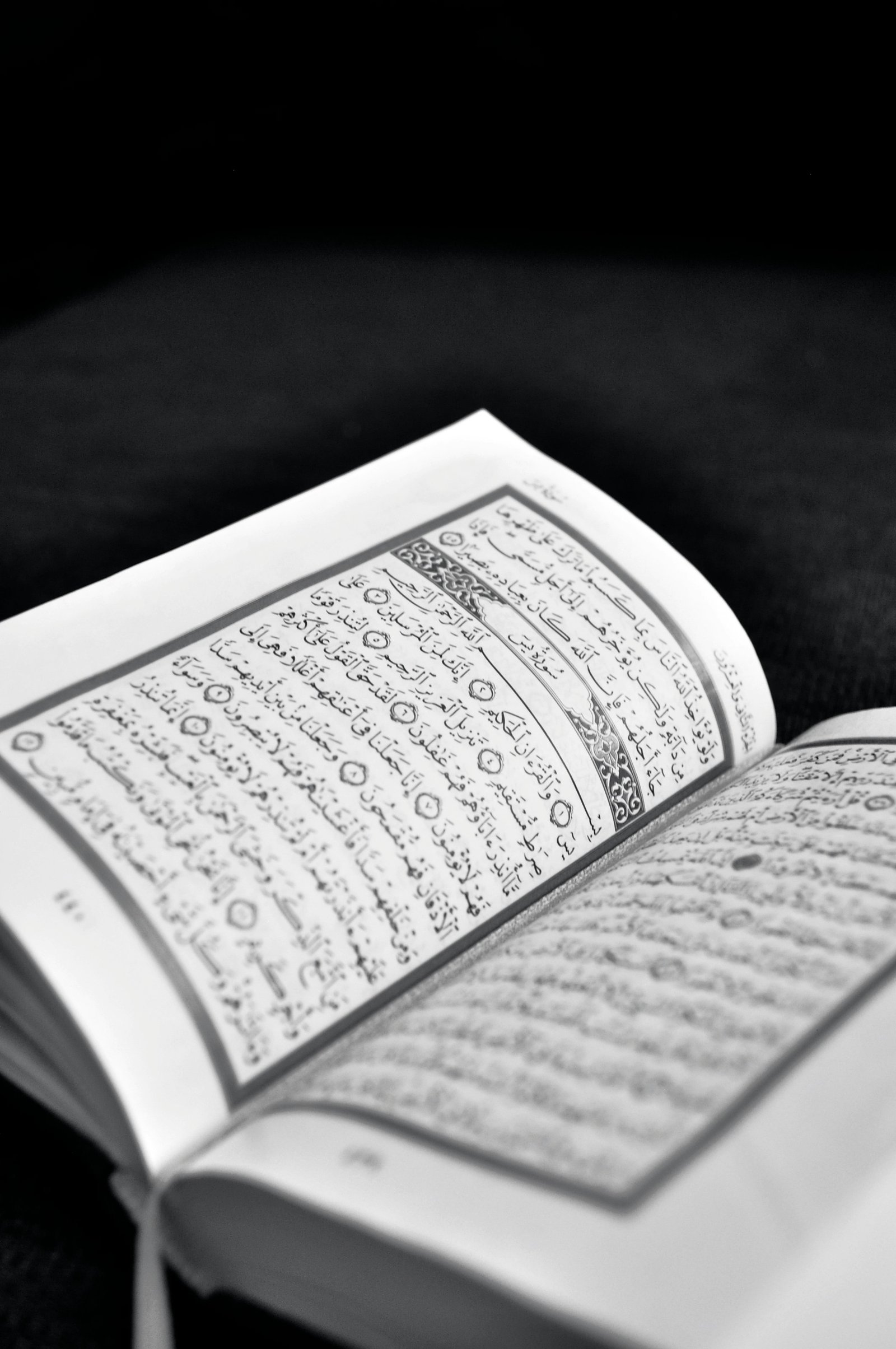 Quran and Tajweed Course