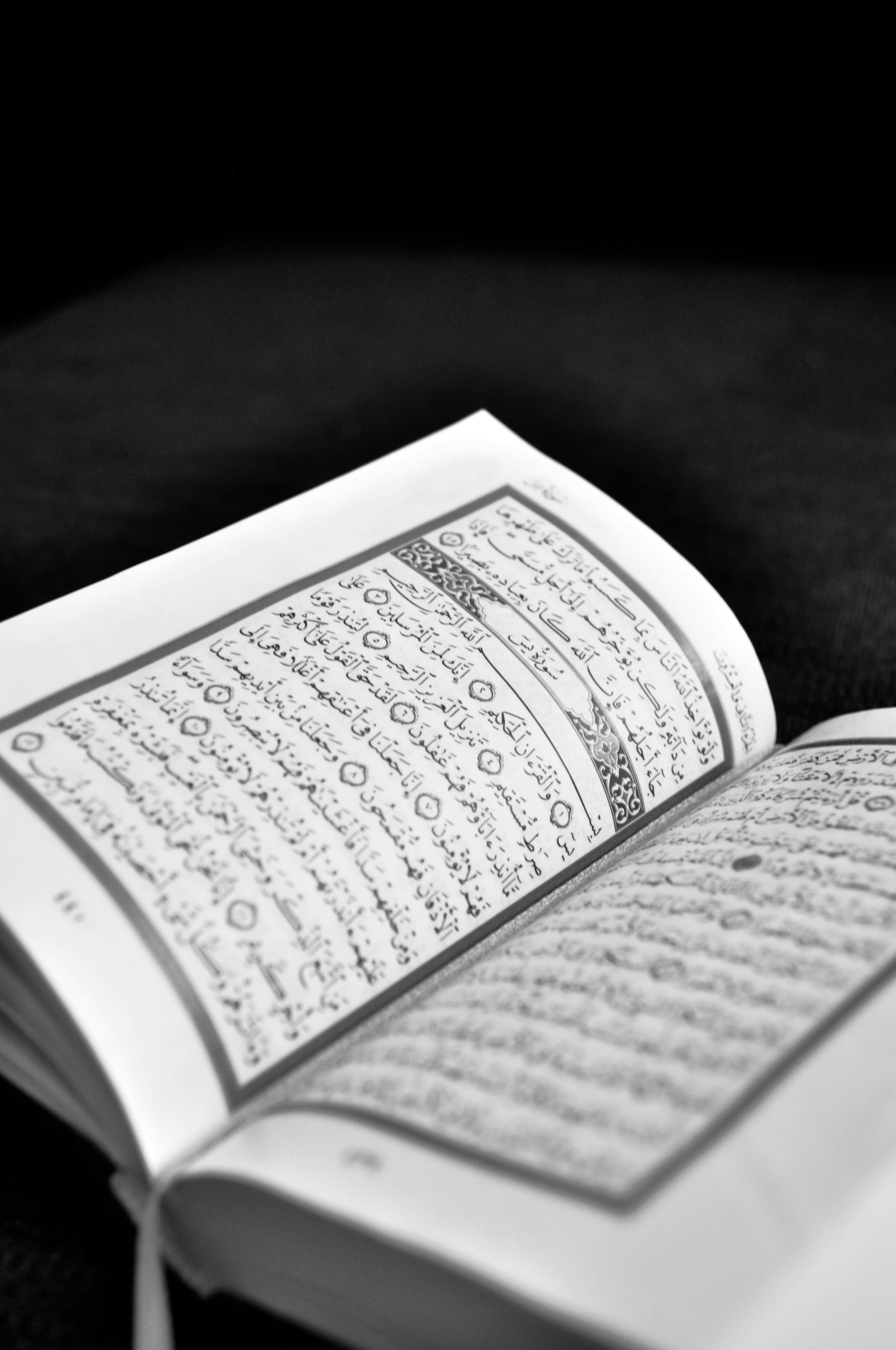 Quran and Tajweed Course